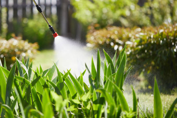 24/7 Emergency Mosquito Control experts in Morton, PA